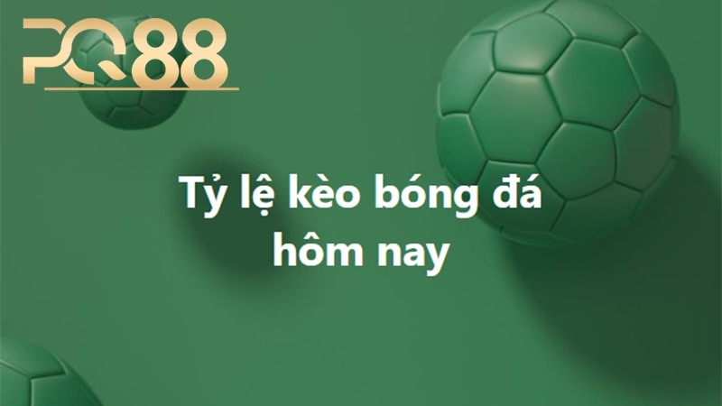 Tỷ Lệ Kèo Bóng Đá PQ88 – Kiến Thức Cơ Bản Cho Người Chơi